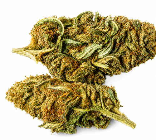 Fleur CBD Cheese – Vente au gramme | THC < 0,3% o cbd frais