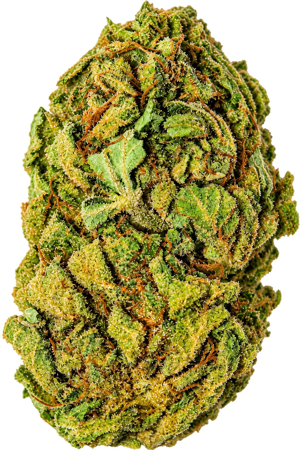 MAZAL (Vente au gramme) o cbd frais