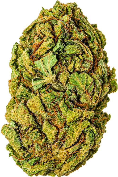 MAZAL (Vente au gramme) o cbd frais