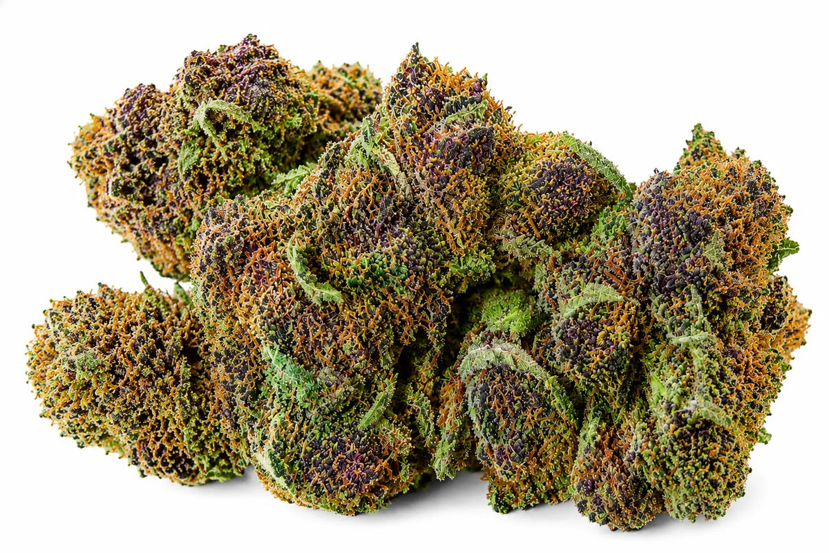 Fleur CBD Purple Kush – Vente au gramme | THC < 0,3% o cbd frais