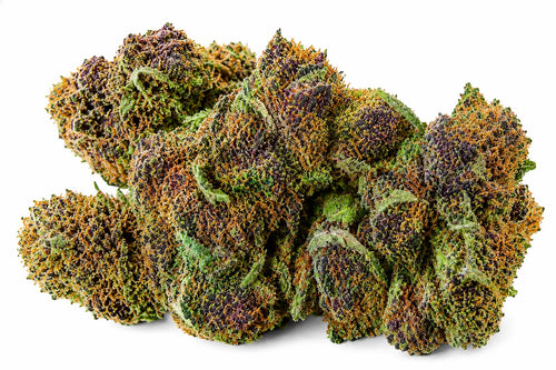 Fleur CBD Purple Kush – Vente au gramme | THC < 0,3% o cbd frais